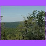 View.jpg