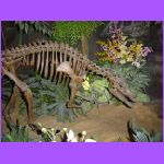 T-Rex.jpg