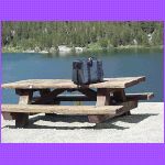 Picnic.jpg