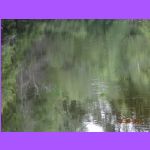 DSC03960.JPG