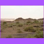 Desert.jpg