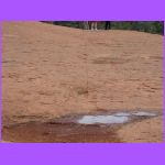 Water.jpg
