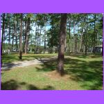 Campground.jpg