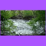Rapids.jpg