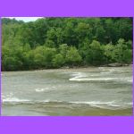 Rapids.jpg