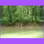Shore.jpg