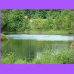 Lake.jpg