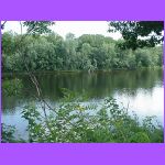 Lake.jpg