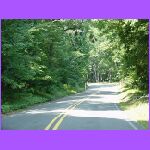 Roads.jpg