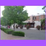 Streets.jpg