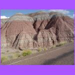 TePees.jpg