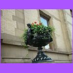 Flowers.jpg