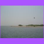 Island.jpg