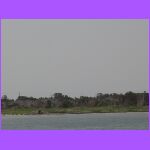 Shoreline.jpg