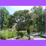 Gardens.jpg