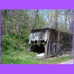 Barn.jpg