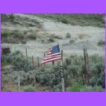 Flag.jpg