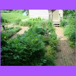 Garden.jpg