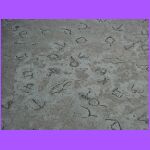 Sidewalk.jpg