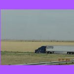 Trucks.jpg