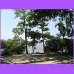 View.jpg