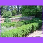 Shrubs.jpg