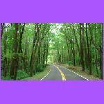 Road.jpg