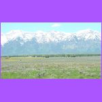 Tetons.jpg