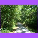 Trail.jpg