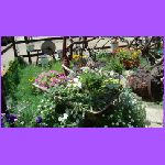 Flowers.jpg